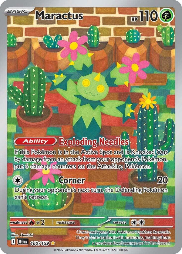 Maractus - 160/159