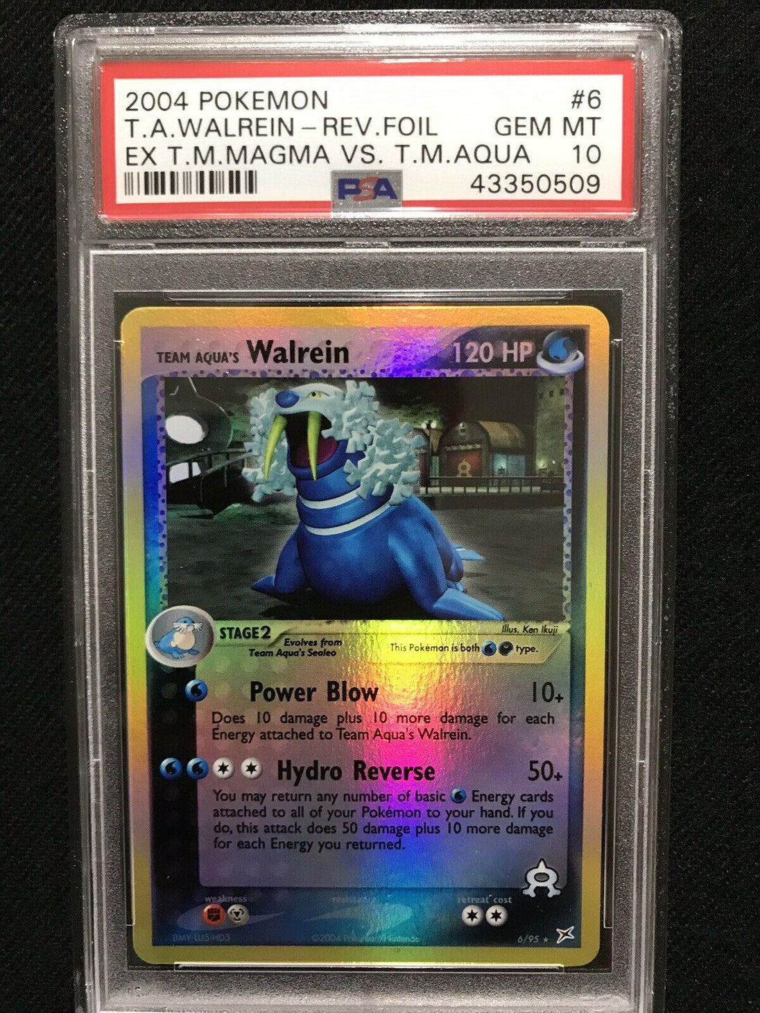 Team Aqua's Walrein