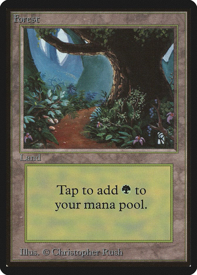Forest (B)