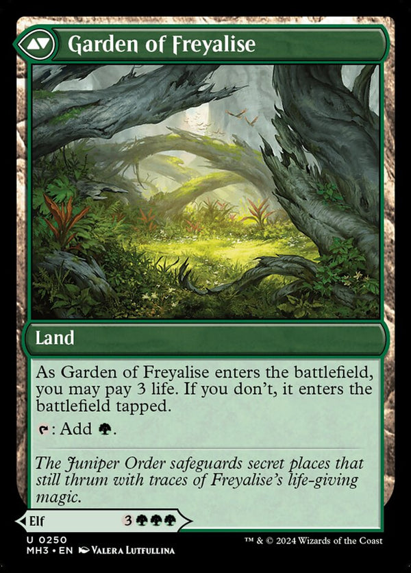 Disciple of Freyalise (Back)